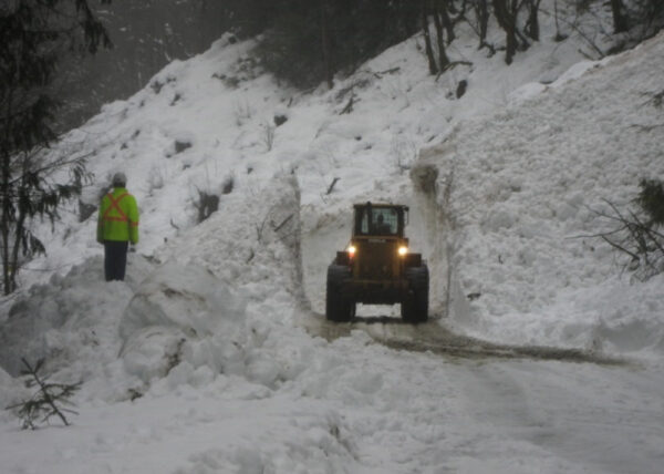 Avalanche on Road